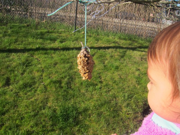 Easy Bird Feeder (14)