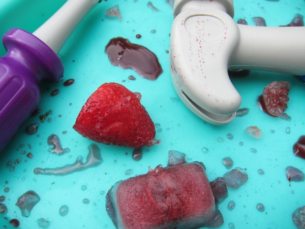 Frozen Berry Excavate (10)