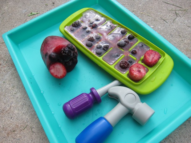 Frozen Berry Excavate (2)