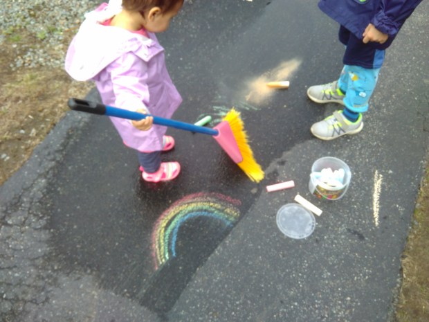 Giant Puddle Brush (1)