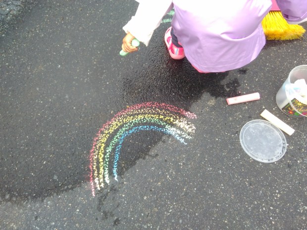 Giant Puddle Brush (3)