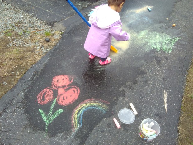 Giant Puddle Brush (4)