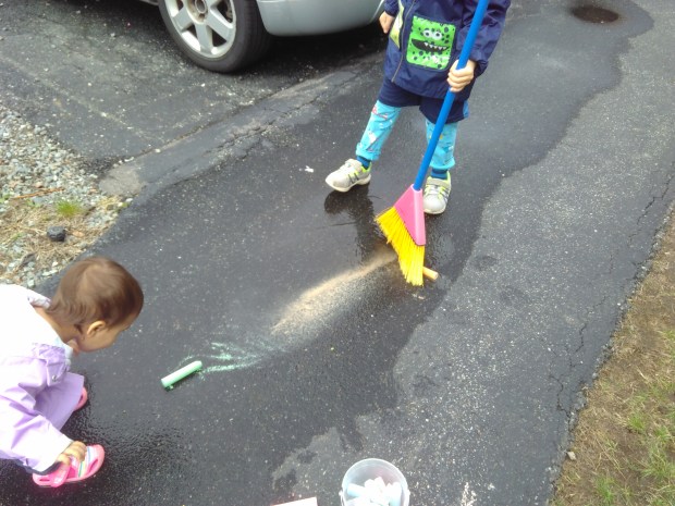 Giant Puddle Brush (5)