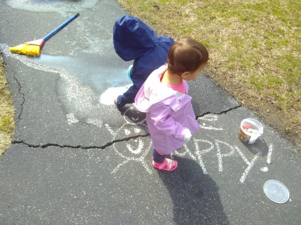 Giant Puddle Brush (6)