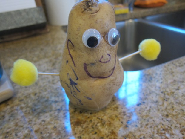 Homemade Potato Man (2)
