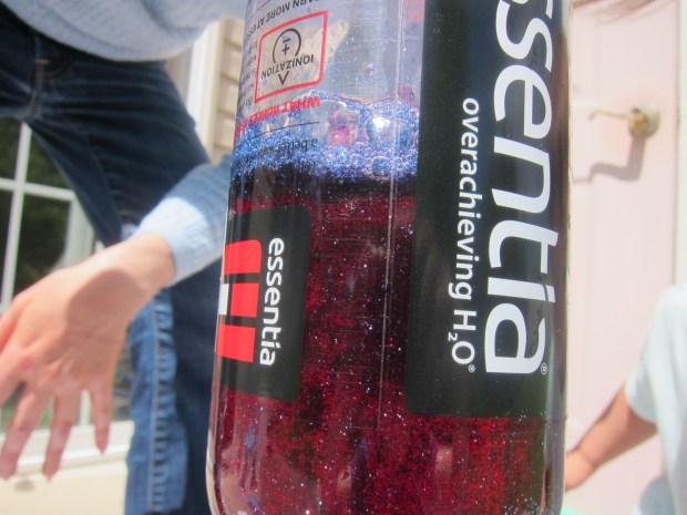 Kiwi Water Wheel (19)