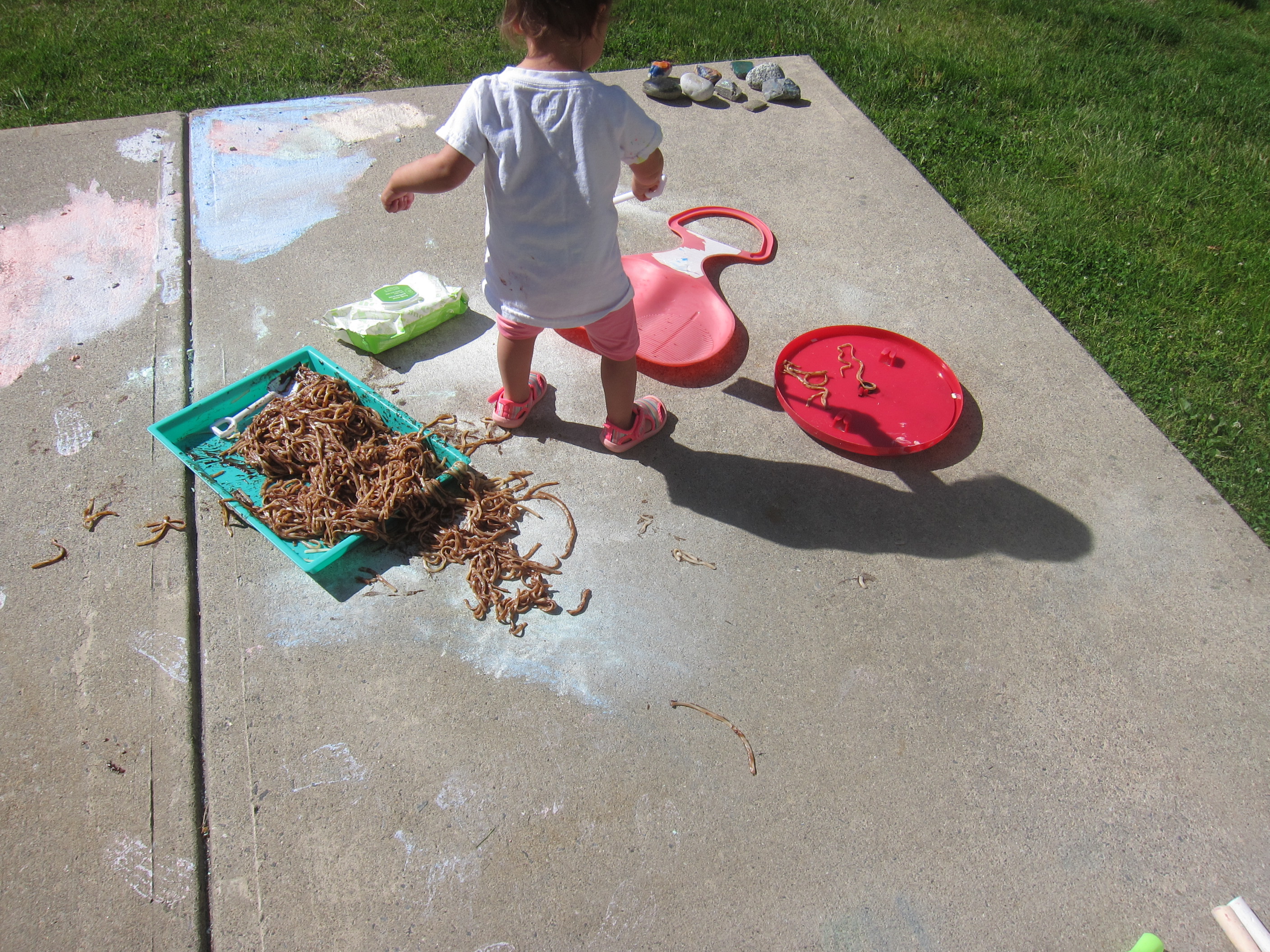 Ooey Gooey Noodle Worms (7)