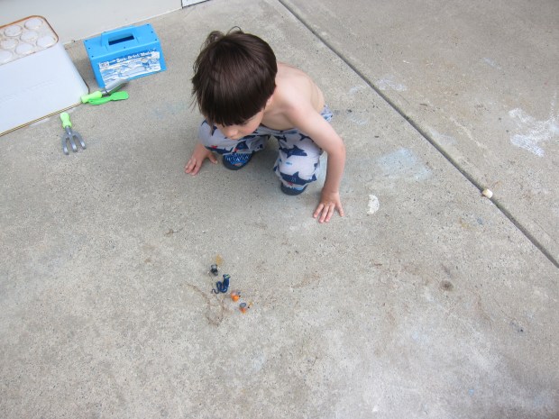 Outdoor Opposites (1)