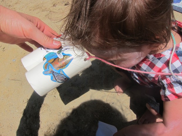 Safari Binoculars (11)