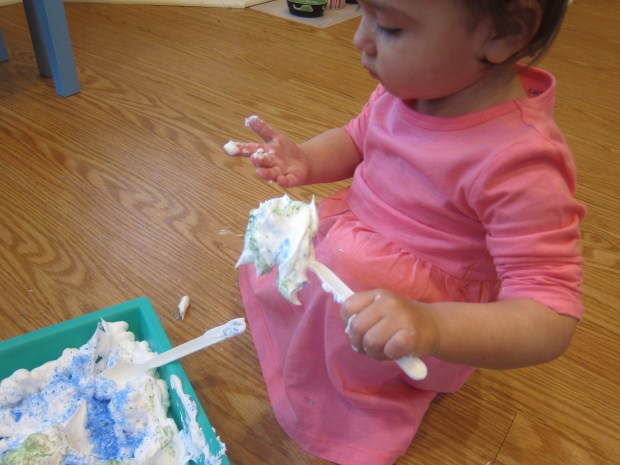 Shaving Cream Colored Sand (5)
