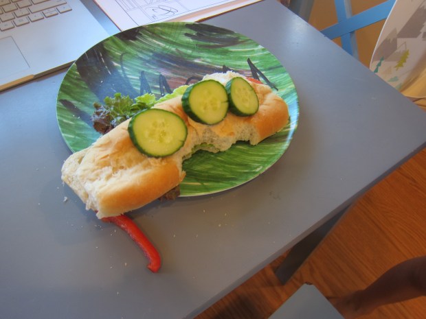 Submarine Sandwich (5)