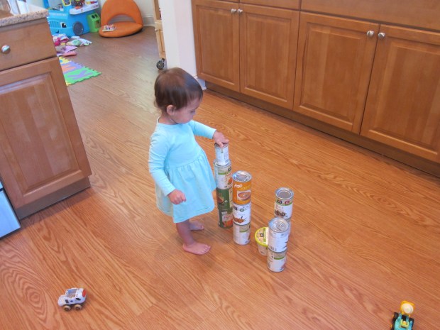 Canned Food Blocks (6)