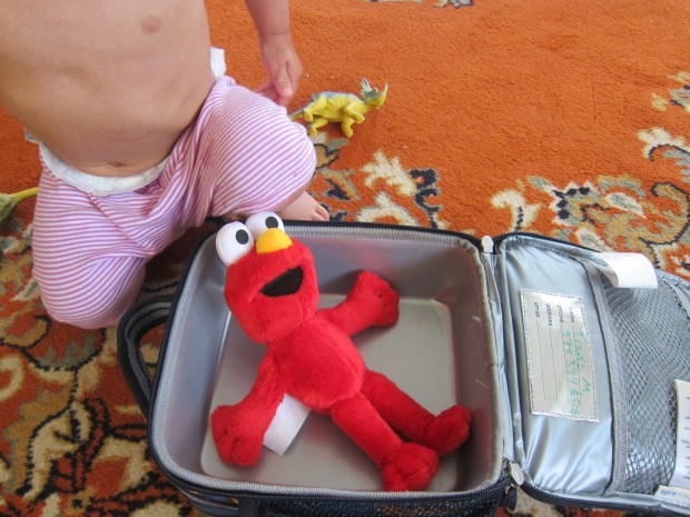 Color of the Day (2)