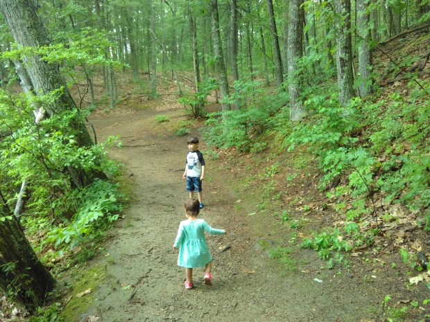 Counting Critters (4)