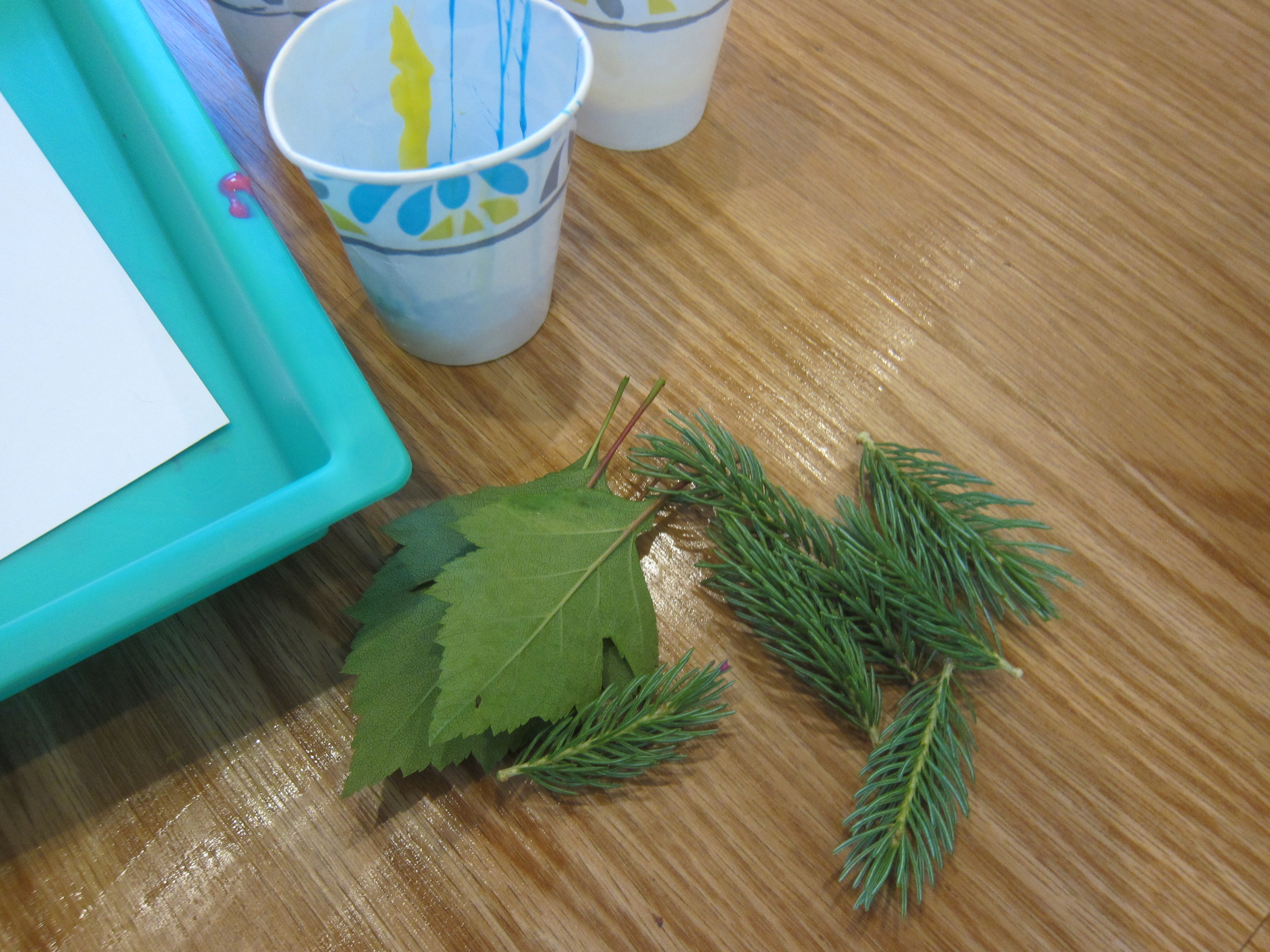 Feather Painting (6)