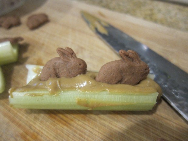 Fish in the River (3)