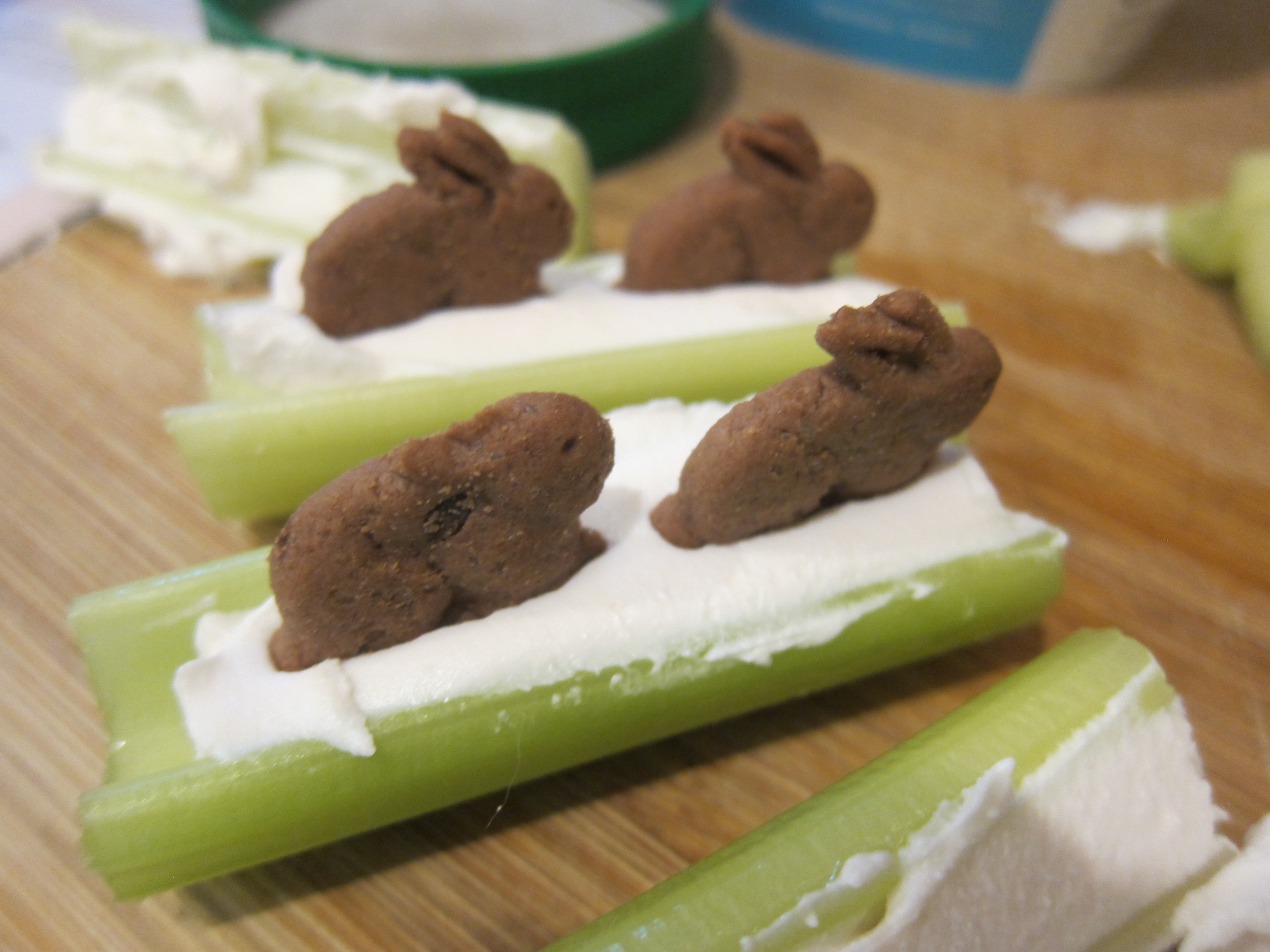 Fish in the River (4)