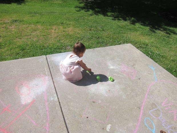 Frog in the Grass (12)