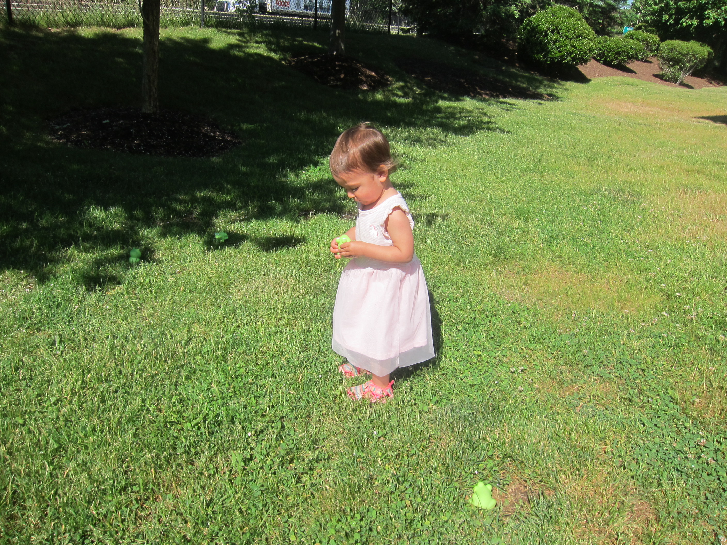 Frog in the Grass (3)