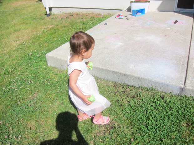 Frog in the Grass (4)