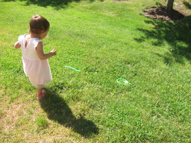 Frog in the Grass (7)