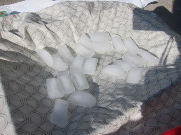 Ice Pillow (2)