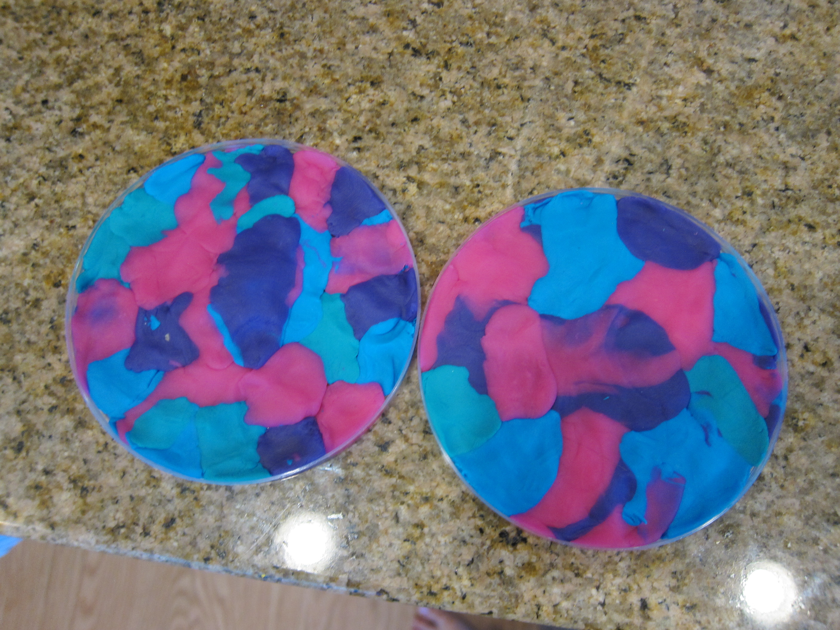 Playdough Suncatchers (8)