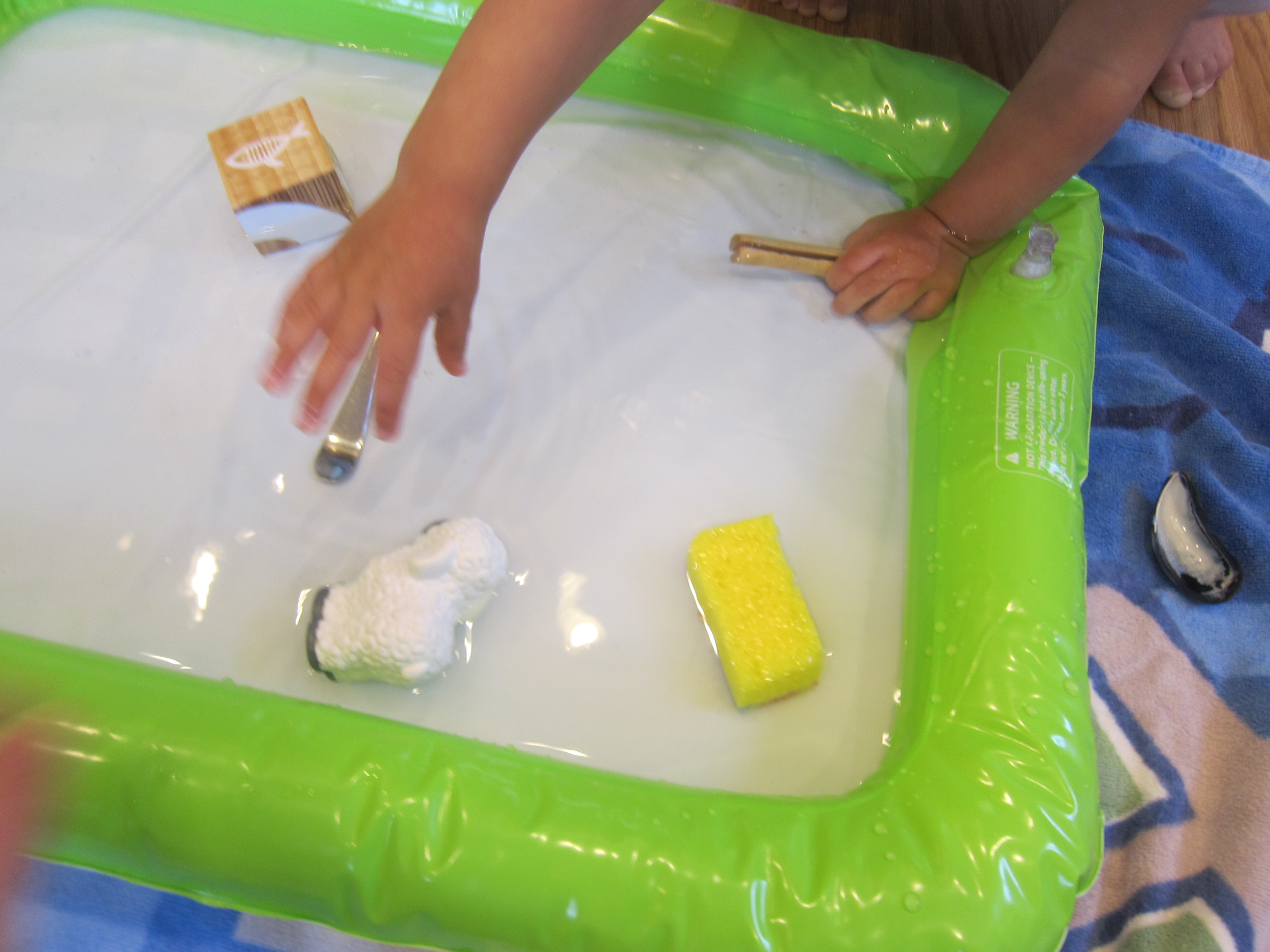 Some Float, Some Don’t – joyful parenting