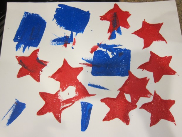 Stars and Stripes Sponge (8)