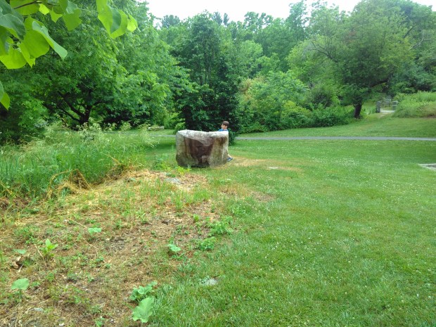 Summer Scavenger (11)