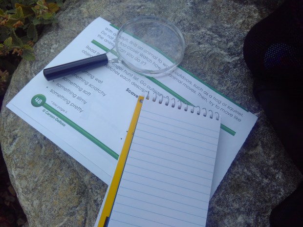 Summer Scavenger (2)