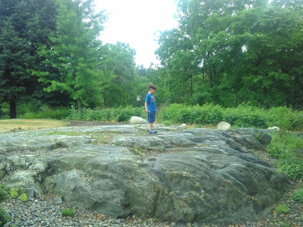 Summer Scavenger (5)