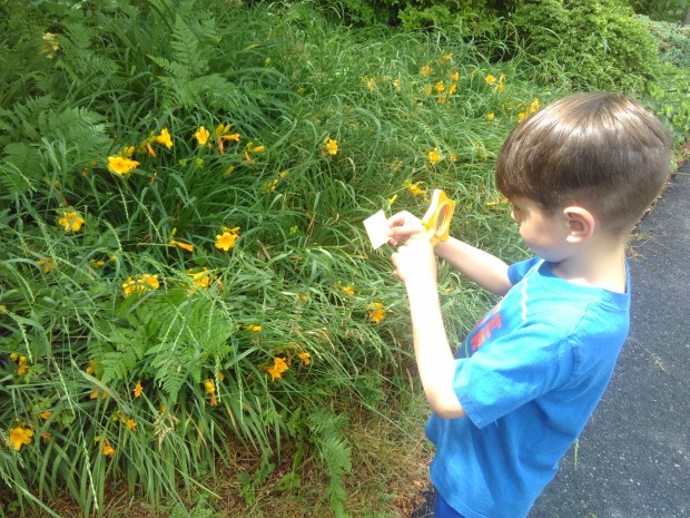 Summer Scavenger (8)