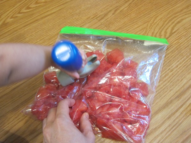 Watermelon Squish (2)