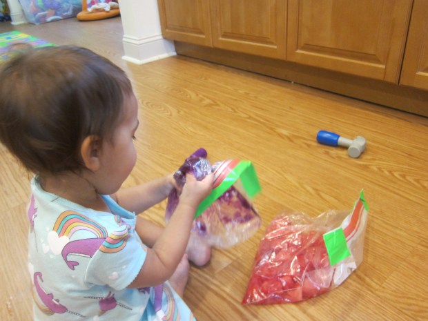 Watermelon Squish (3)