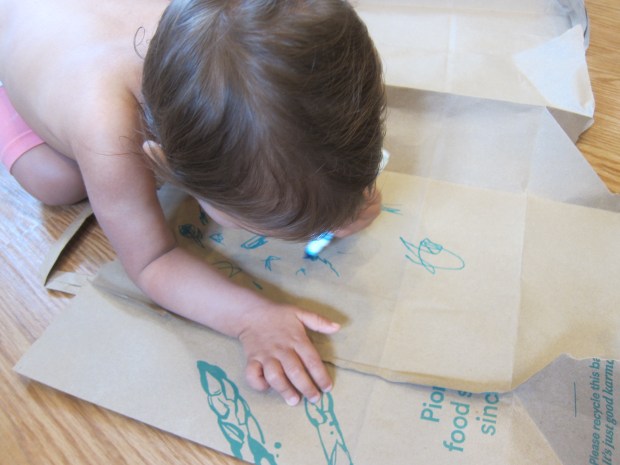 Baby's Adventure (3)