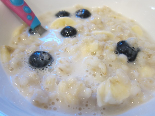 Barley with Blueberries (2)