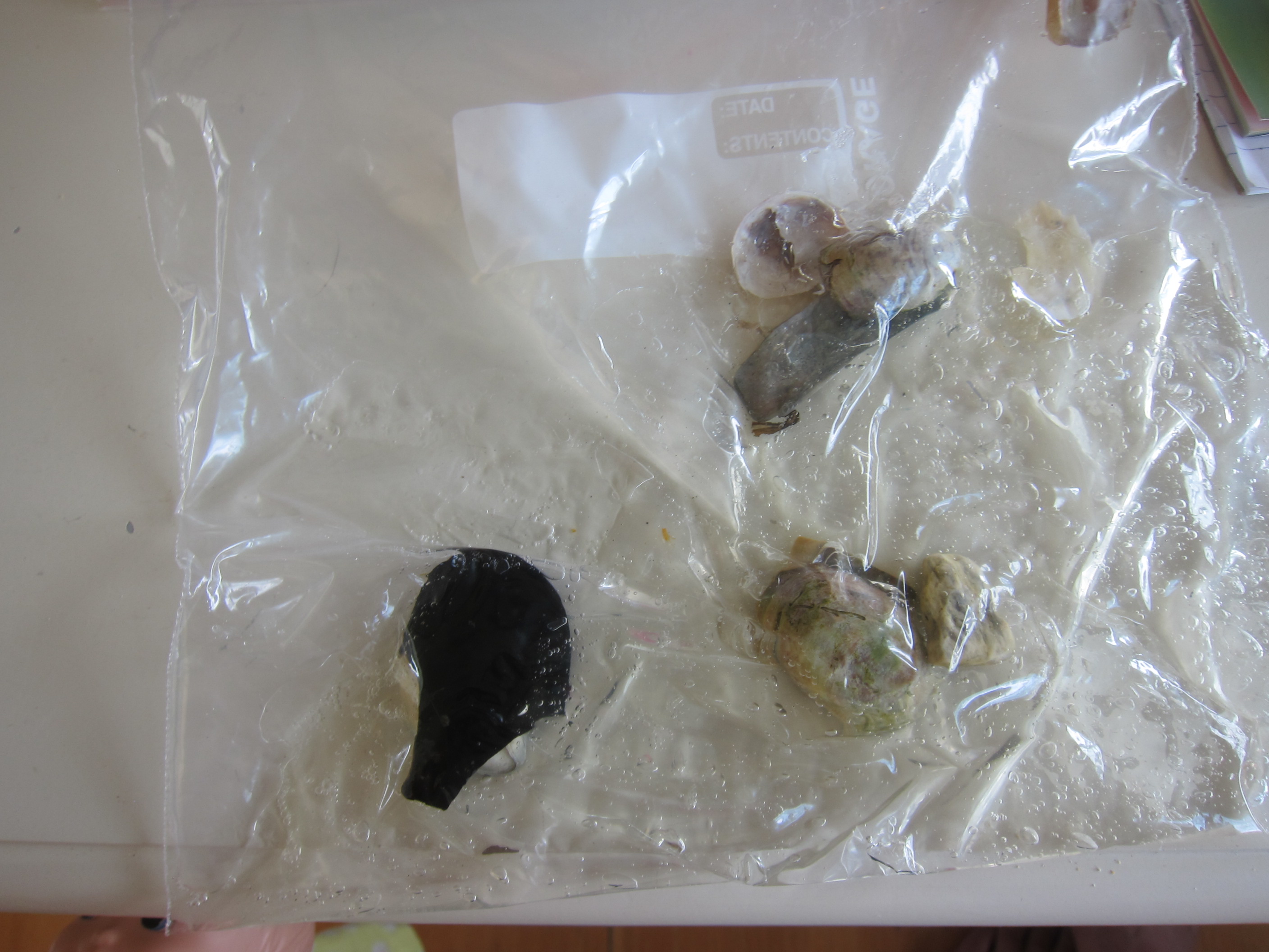 Beach-Themed Bag (2)