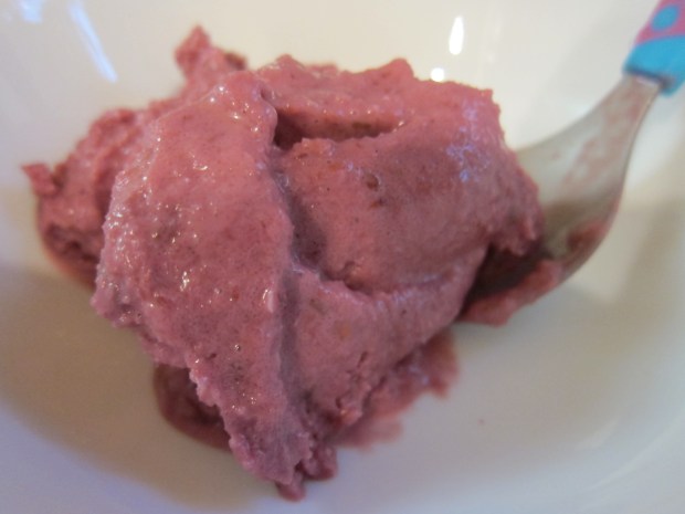 Blackberry Frozen Yogurt (1)