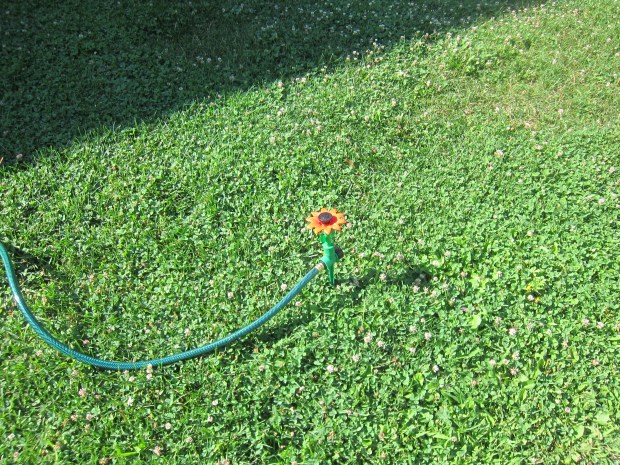 Break Out the Sprinkler (1)