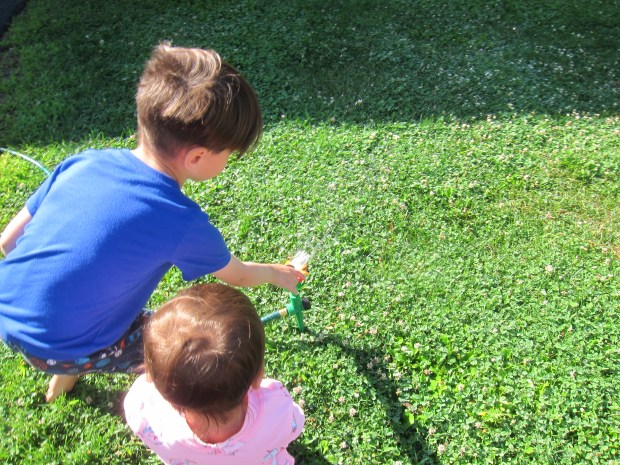 Break Out the Sprinkler (5)