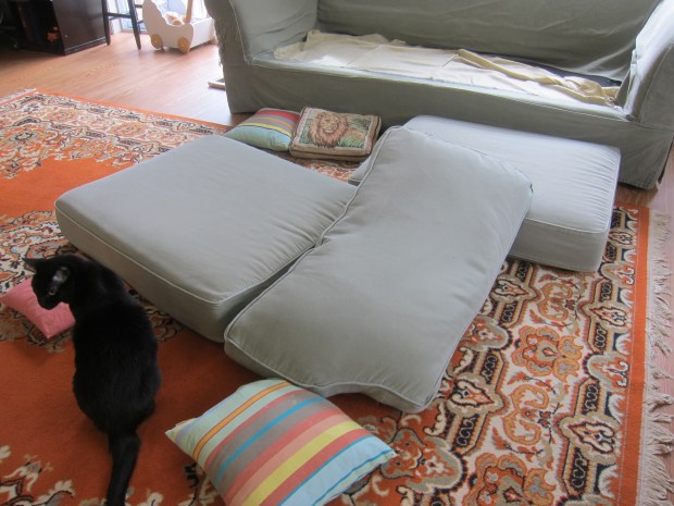 Climbing Practice (1)