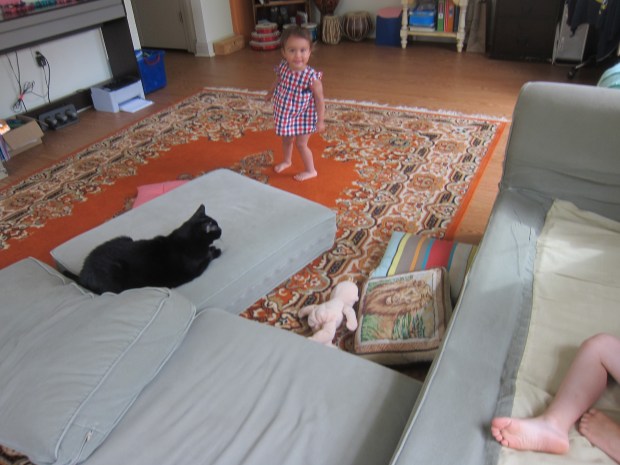 Climbing Practice (3)