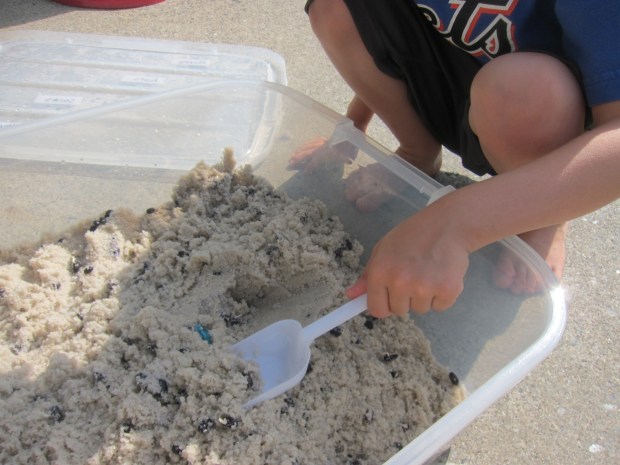 Diamond Mine Sandbox (2)