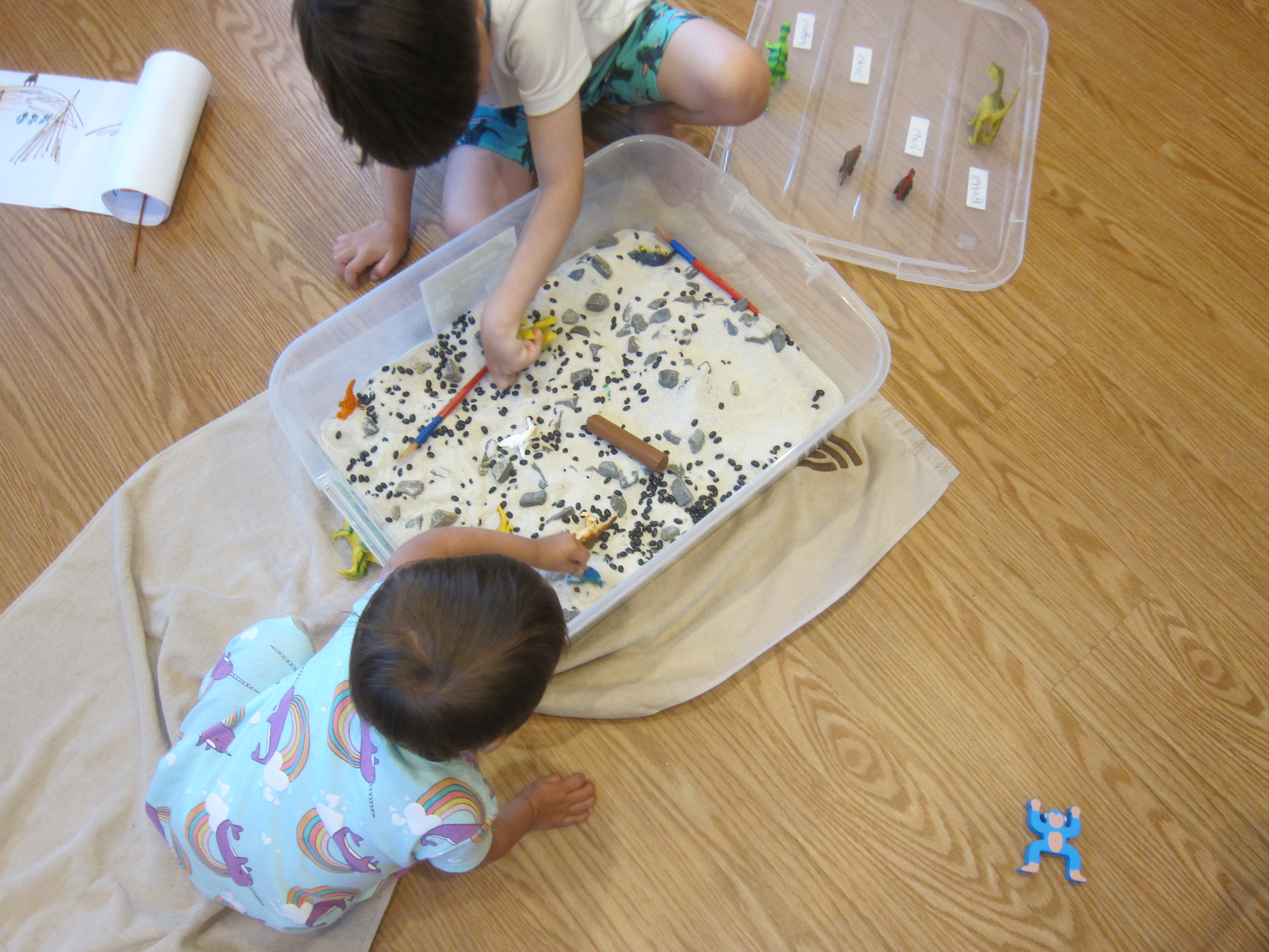 Dinosaur Sandbox (10)