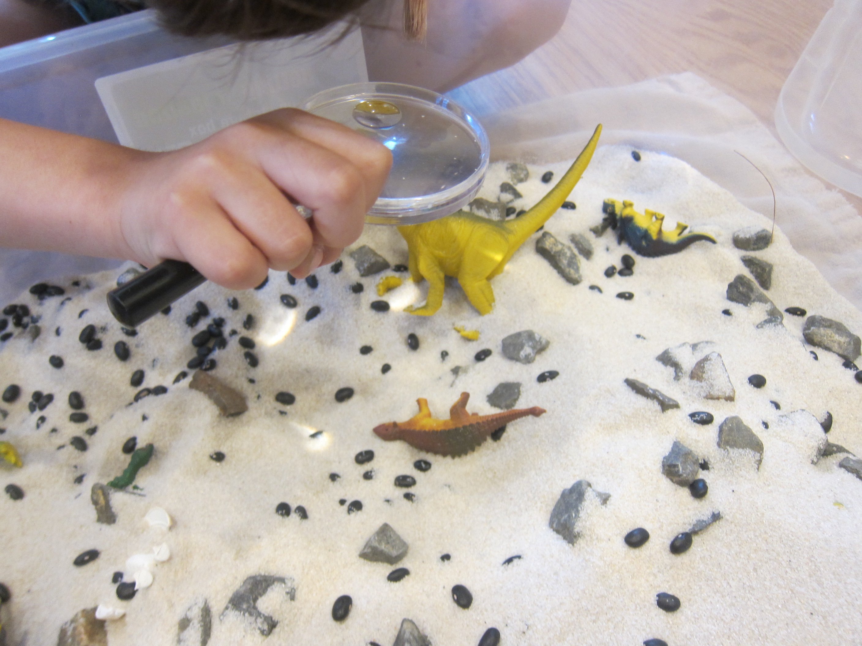 Dinosaur Sandbox (2)