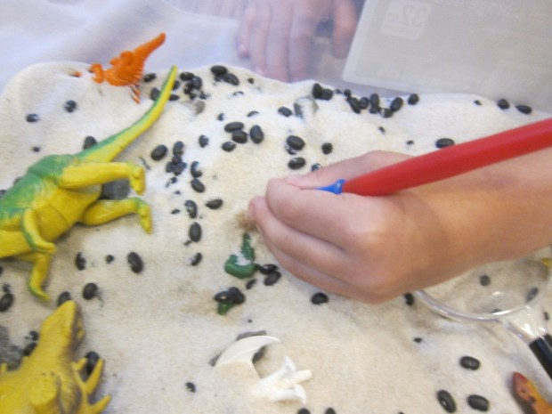 Dinosaur Sandbox (3)