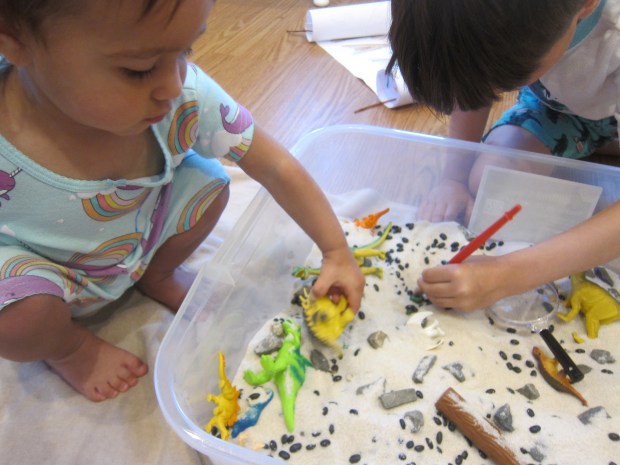 Dinosaur Sandbox (4)