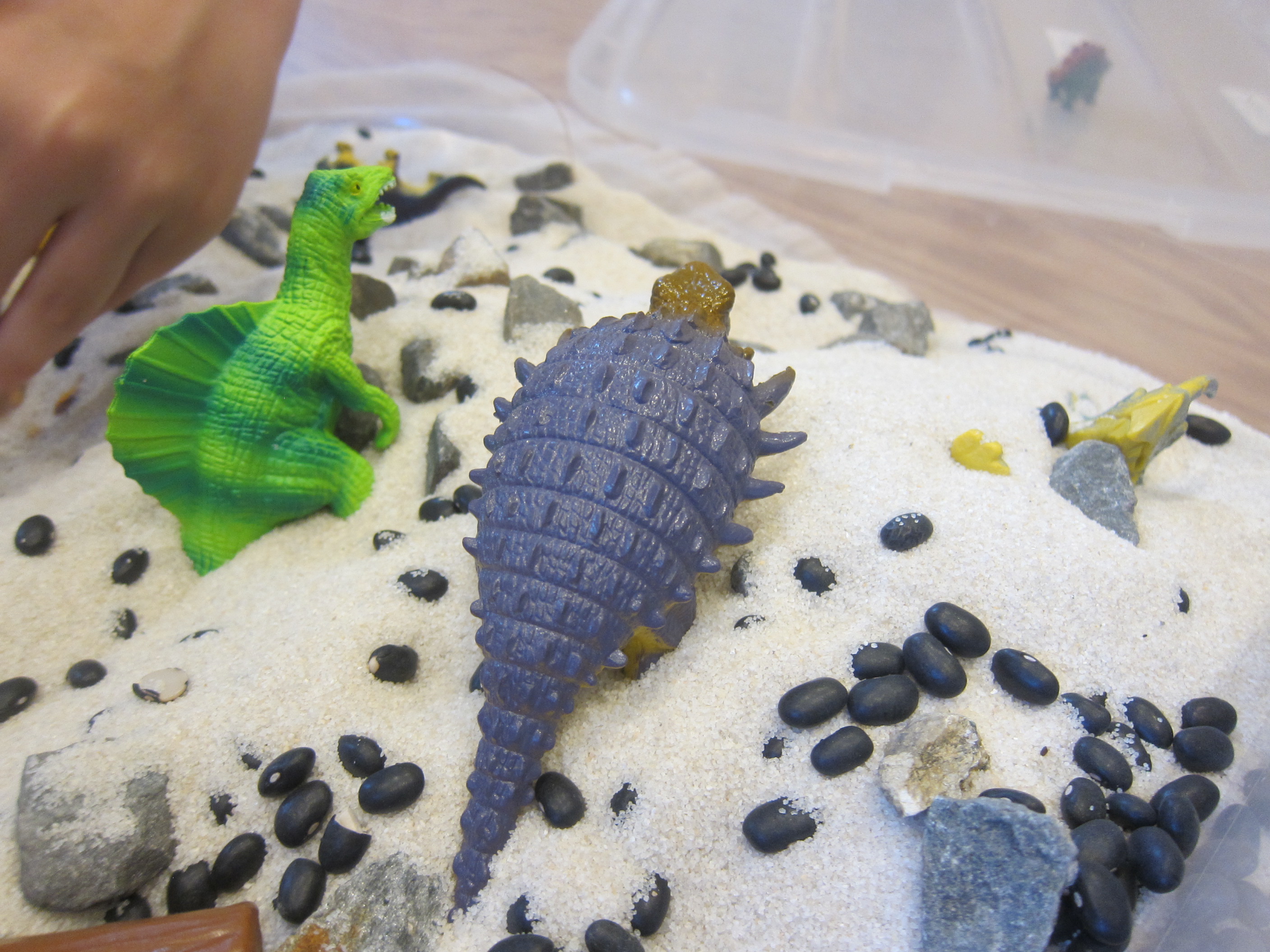 Dinosaur Sandbox (6)