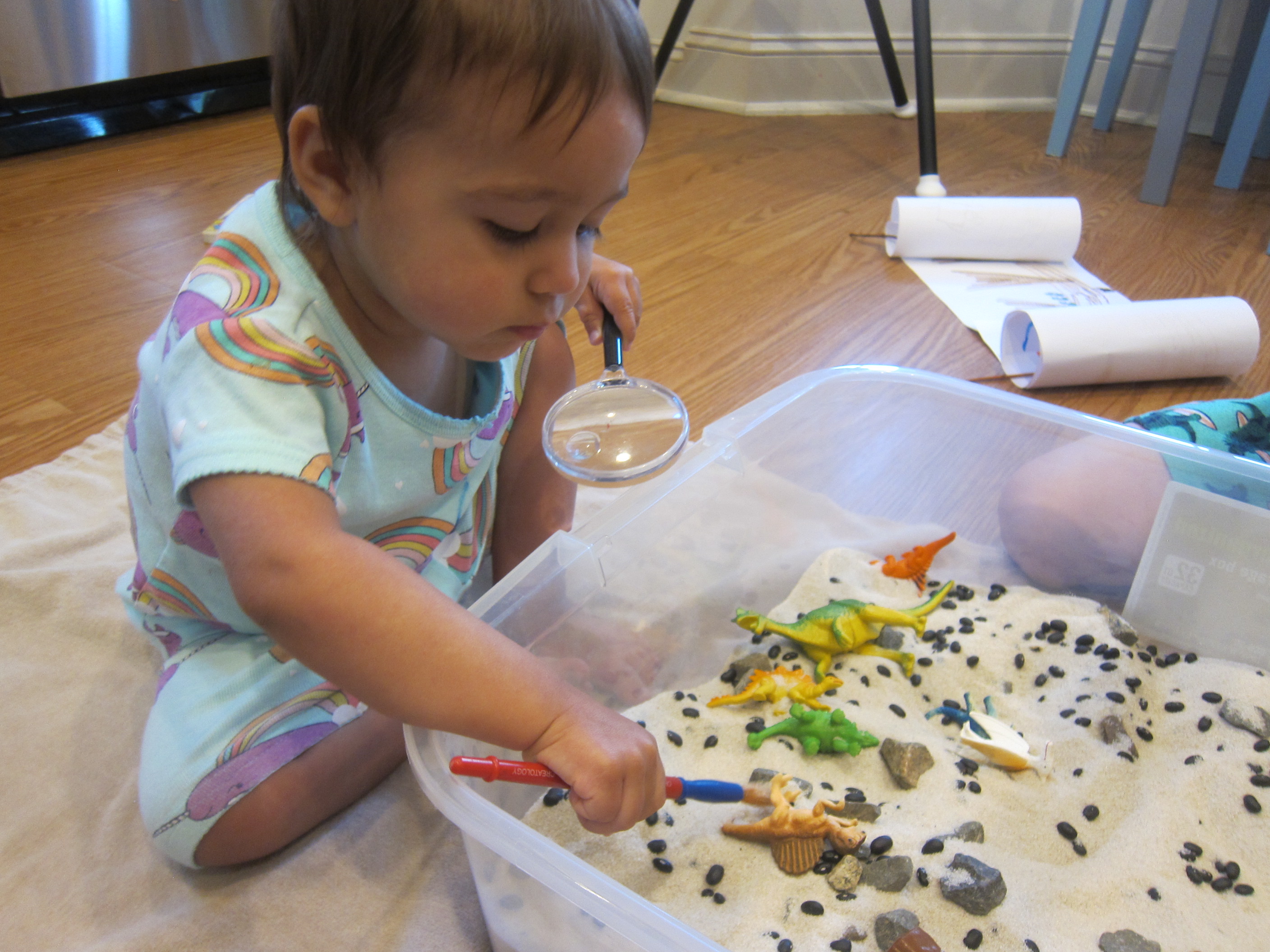 Dinosaur Sandbox (8)